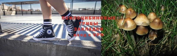 индика Нефтегорск