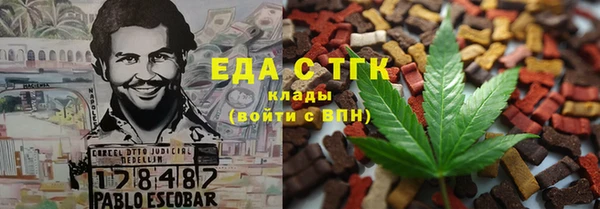 индика Нефтегорск