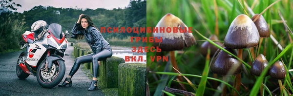 крисы Нефтекумск