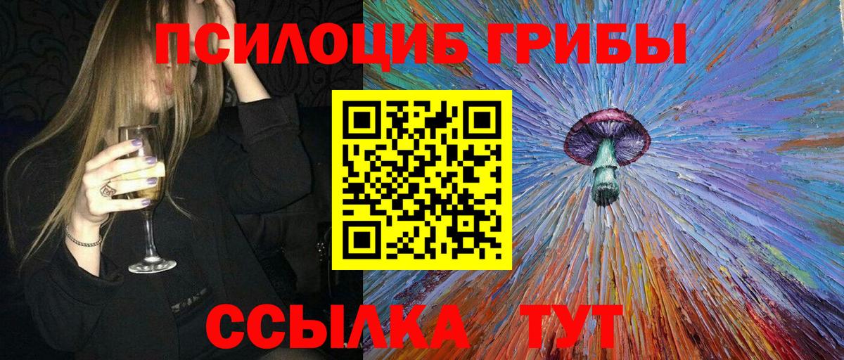 Оренбург  наркота  Вход с VPN  Псилоцибиновые грибы Psilocybe 